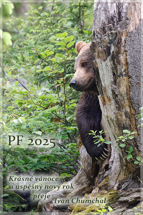 PF 2025