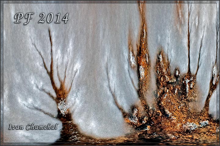 PF 2014