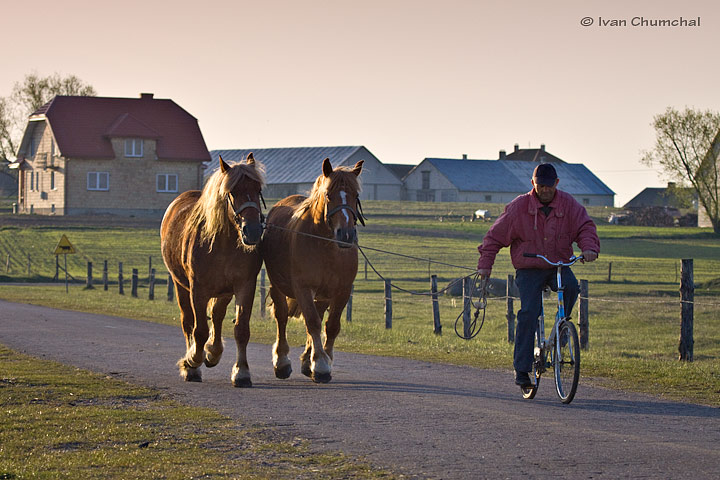 Člověk a zvíře (Man and animal)