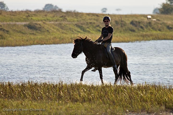 Člověk a zvíře (Man and animal)