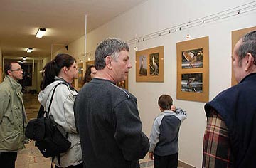 galerie Stediska volnho asu DOMEEK ve Valaskm Mezi - 3